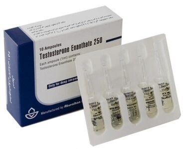 Erkeklerde potens hormonal uyarıcılar