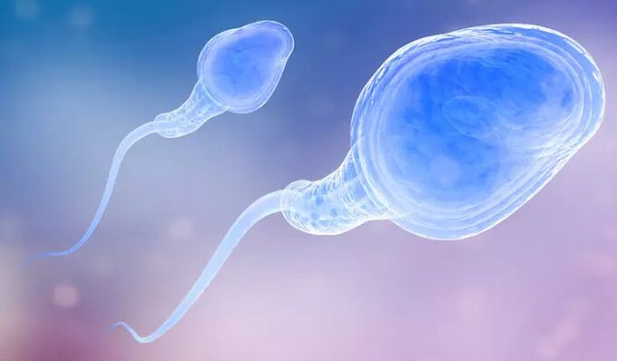 Sperm bir erkeğin boşalma öncesi içinde mevcut olabilir